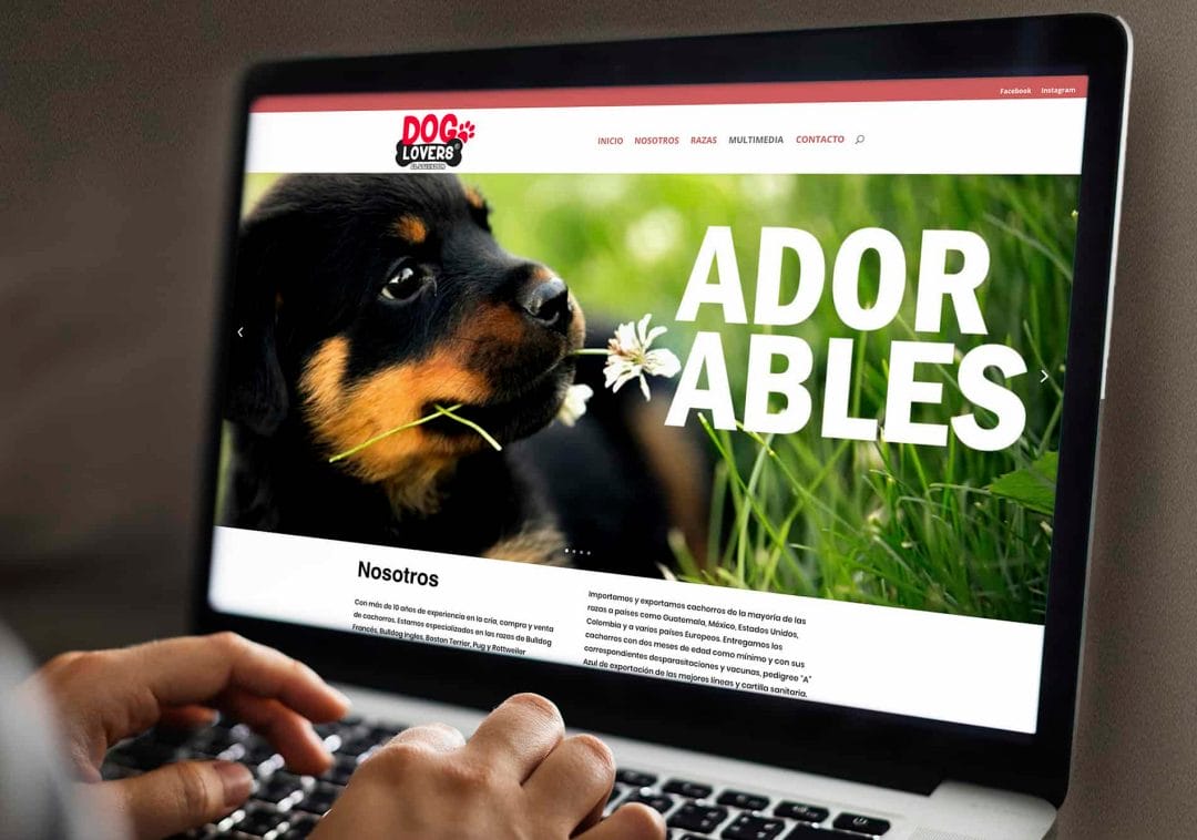 Sitio web Dog Lovers El Salvador - Paquetes de Hosting y dominio - Emprendedores y empresas - Jorge A. Merino - Amejoartes.com