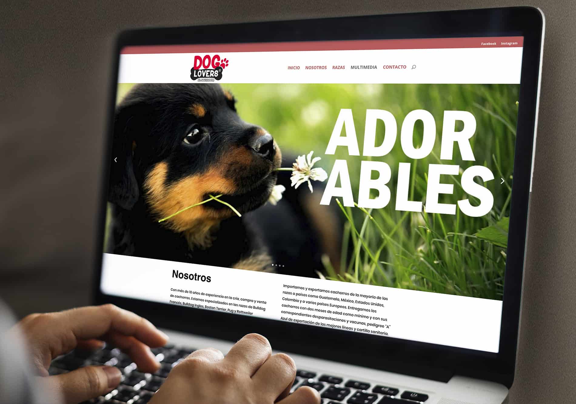 Sitio web Dog Lovers El Salvador - Paquetes de Hosting y dominio - Emprendedores y empresas - Jorge A. Merino - Amejoartes.com