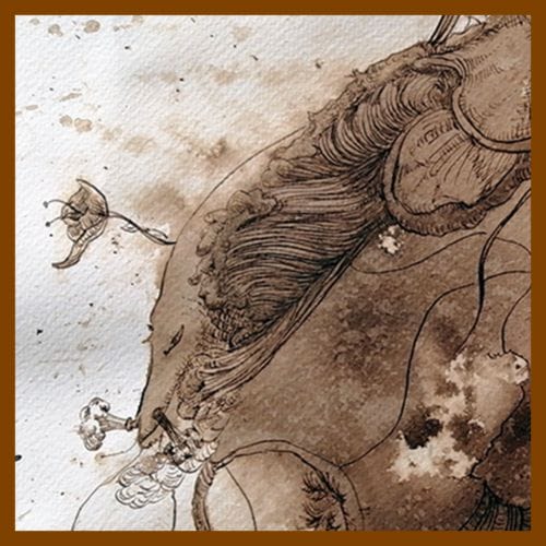 Núcleo - Serie cafeína - Jorge A. Merino - El Salvador