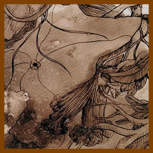 Núcleo - Serie cafeína - Jorge A. Merino - El Salvador